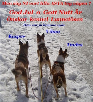 Kennel Lunnet&ouml;sen
